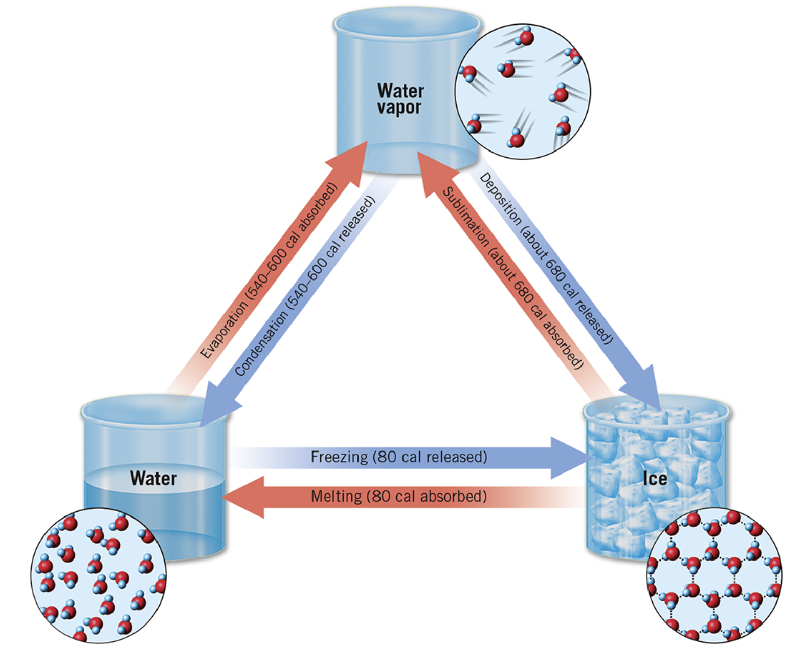 <p>Freezing, condensation, deposition</p>