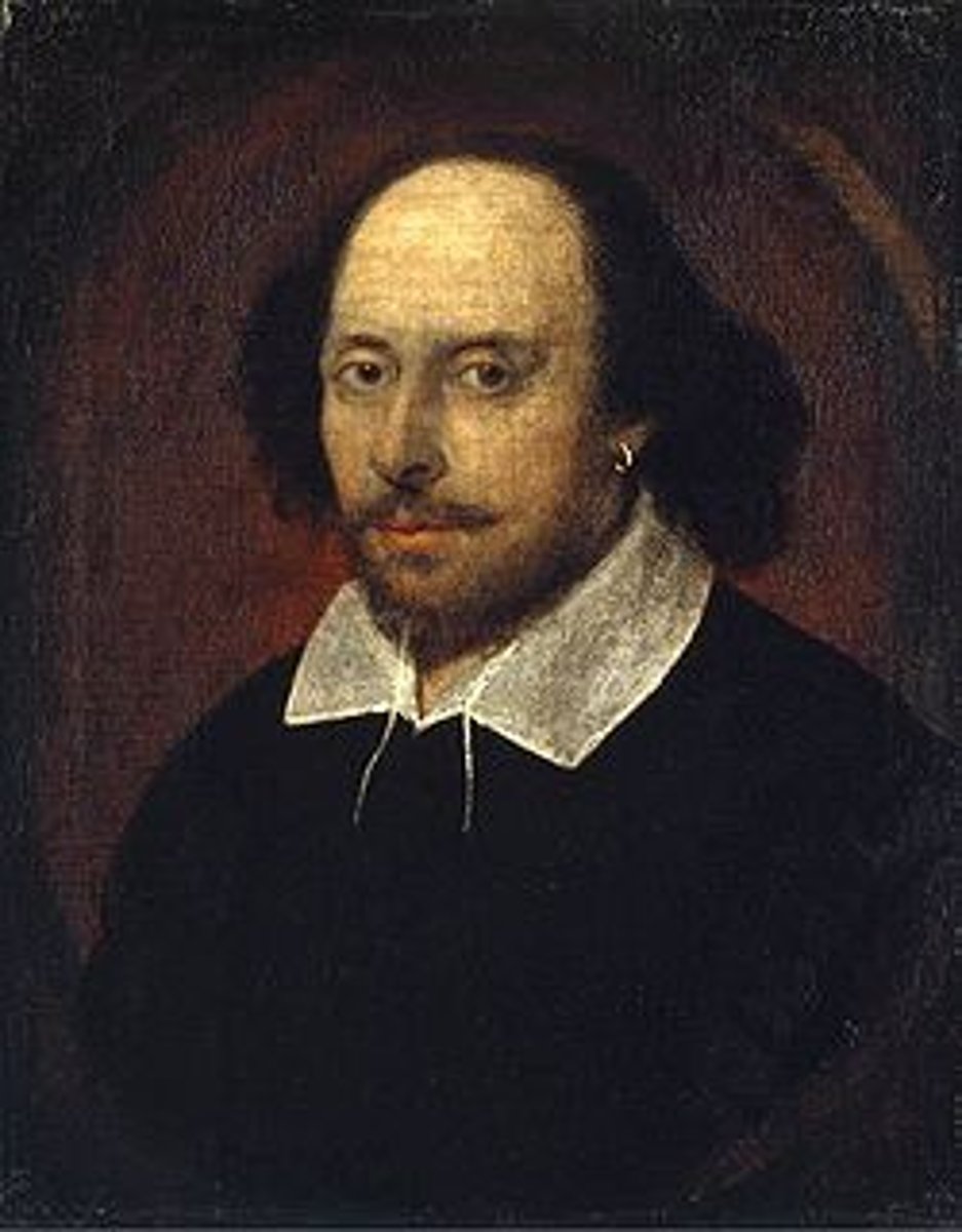 <p>14-line lyric poem focused on a single theme; usually written in iambic pentameter</p>