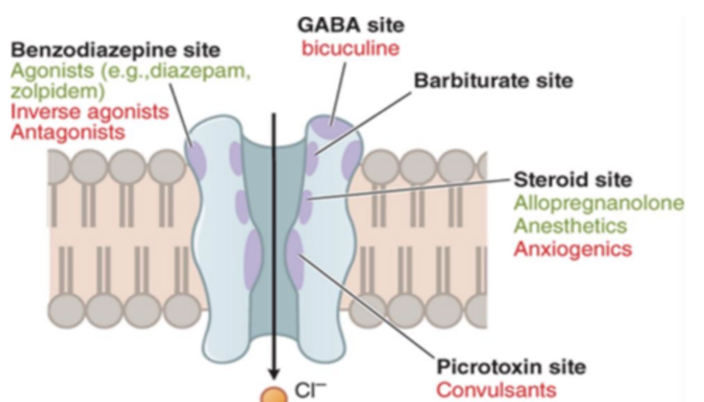 <p>• GABAa receptor (Ligand gated ionotropic).</p><p>• GABAB receptor (G-protein coupled receptor)</p>