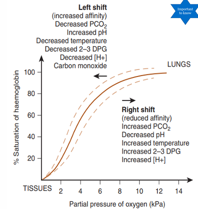 <p>relationship between partial pressure of O2 (either alveoli or tissues) and the degree to which Hb is saturated with O2 </p><p></p>