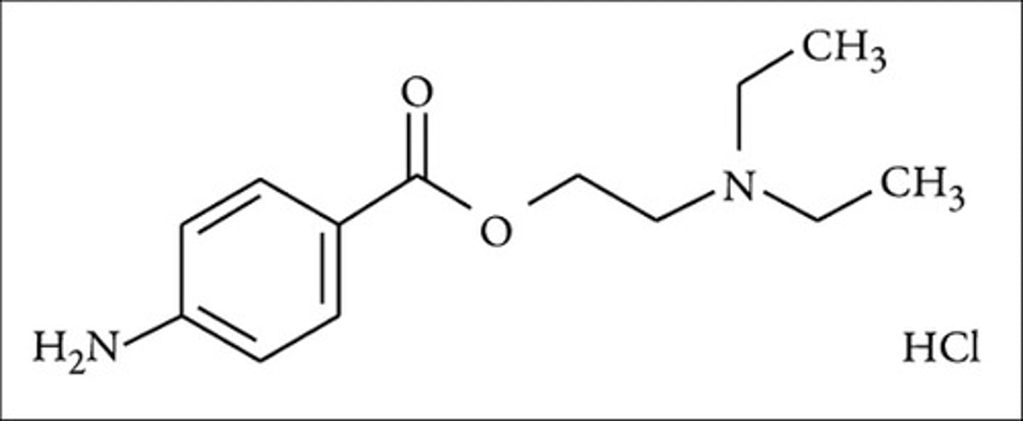 <p>Procaine</p>