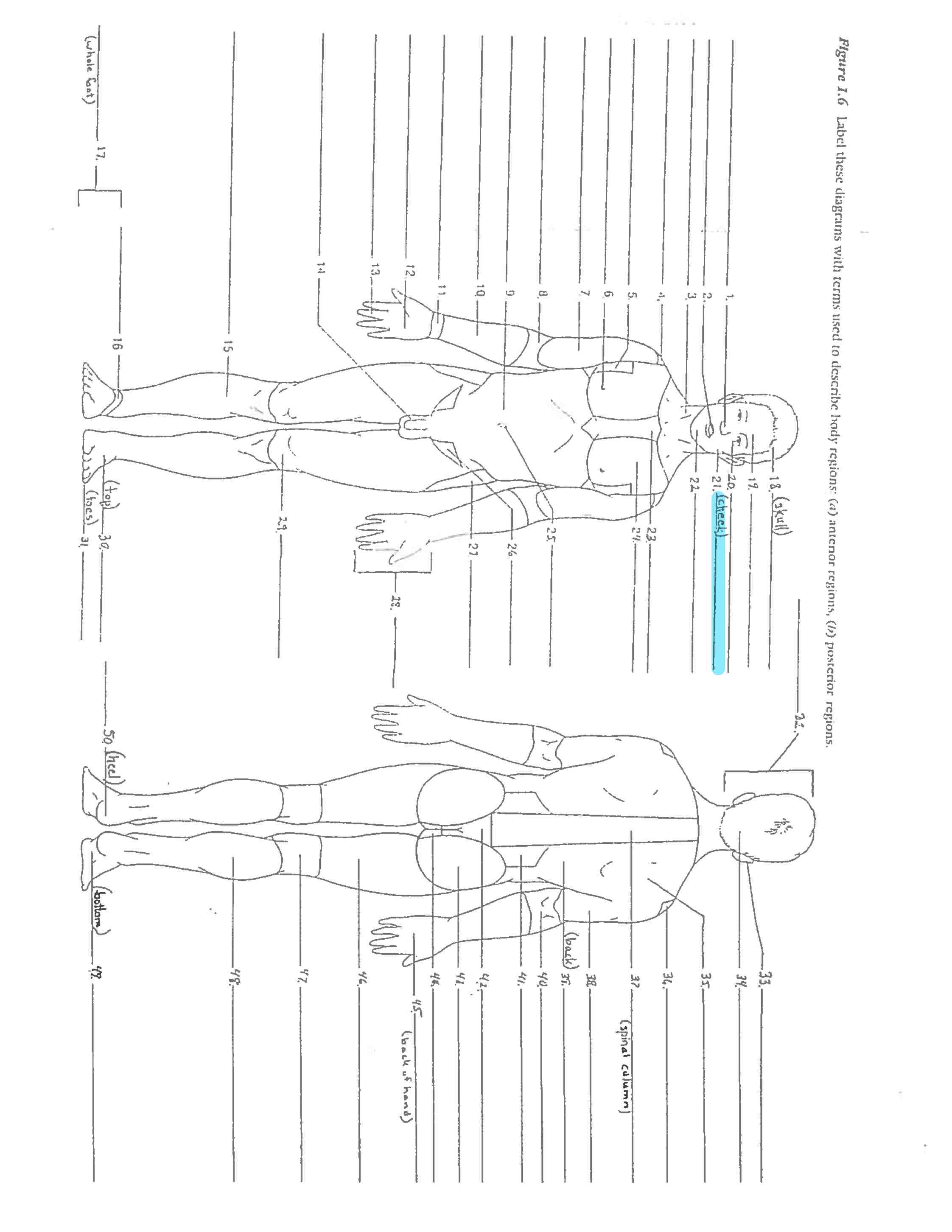 <p>Line 21 </p>