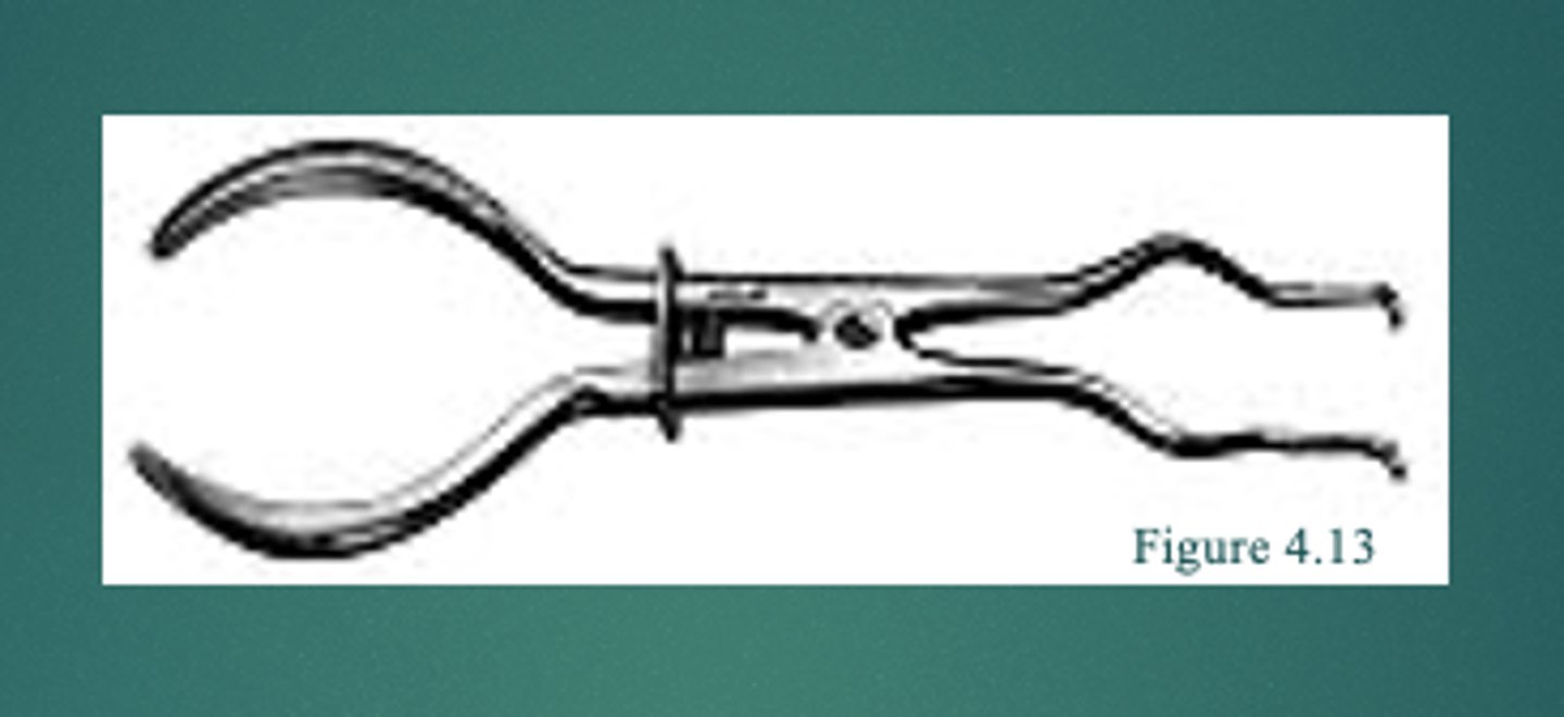 <p>forceps</p>