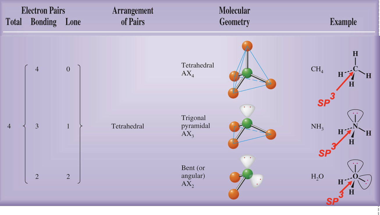 <p>SP3 hybridization forms four equivalent orbitals; geometry is tetrahedral with 109.5° angles.</p>