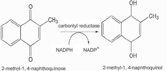 <p>Name Enzyme</p>