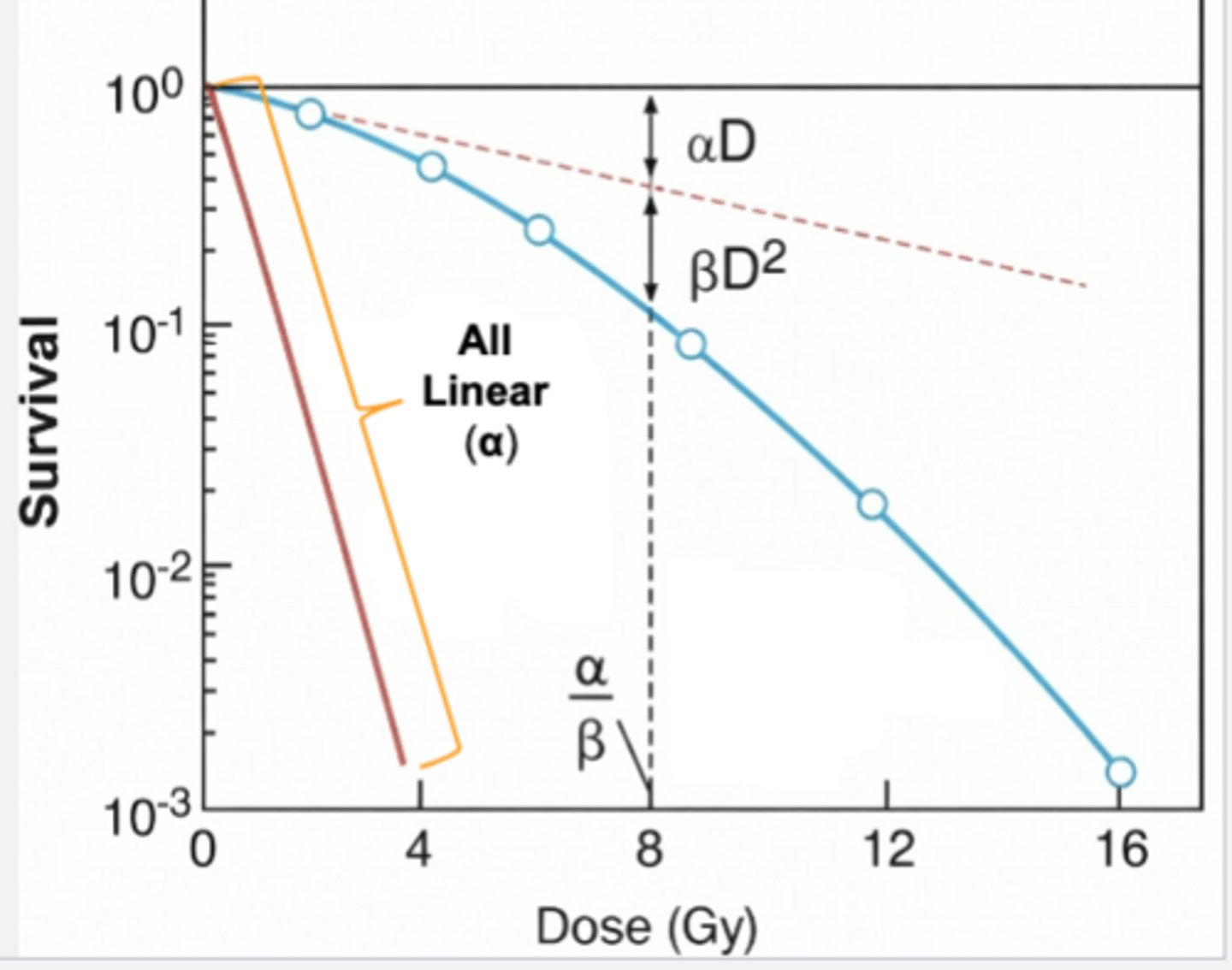 <p>Shoulder</p><p>No D = α/β </p>