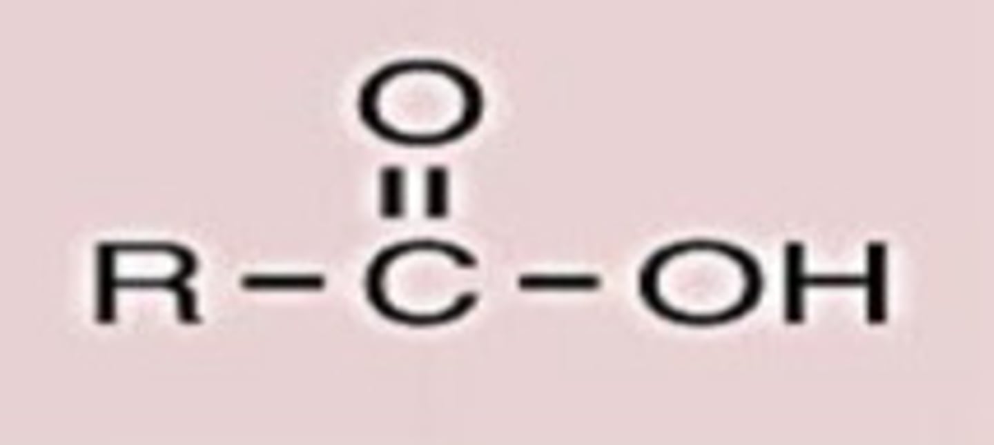 <p>Conj. Acid</p>