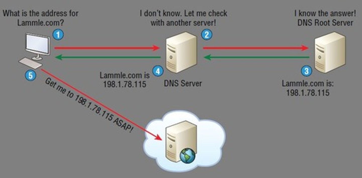 <p>Used to resolve a Fully Qualified Domain Name (FQDN)​</p><p>An FQDN is a hierarchy that can logically locate a system based on its domain identifier​</p>