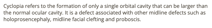 <p>a) cyclopia </p>