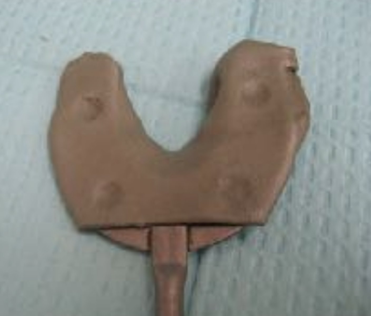 <p>When preparing the bite fork for a facebow record, what is the FIRST step?</p>