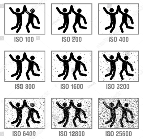 <p>International Organization for Standardization (ISO)</p>