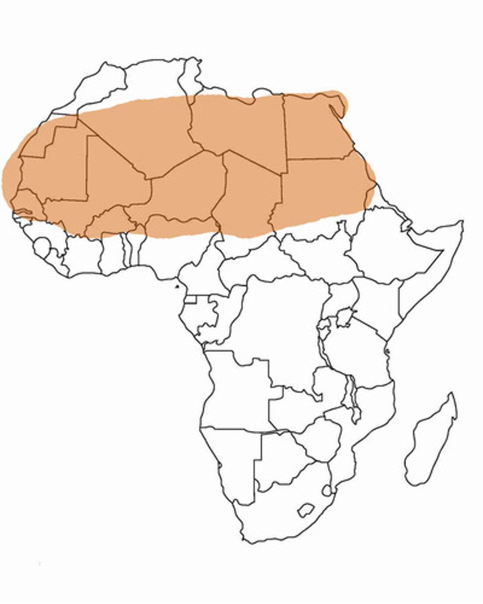 <p>The largest desert in the world (3.6 million square miles) that is located in North Africa and does not have many oases.</p>