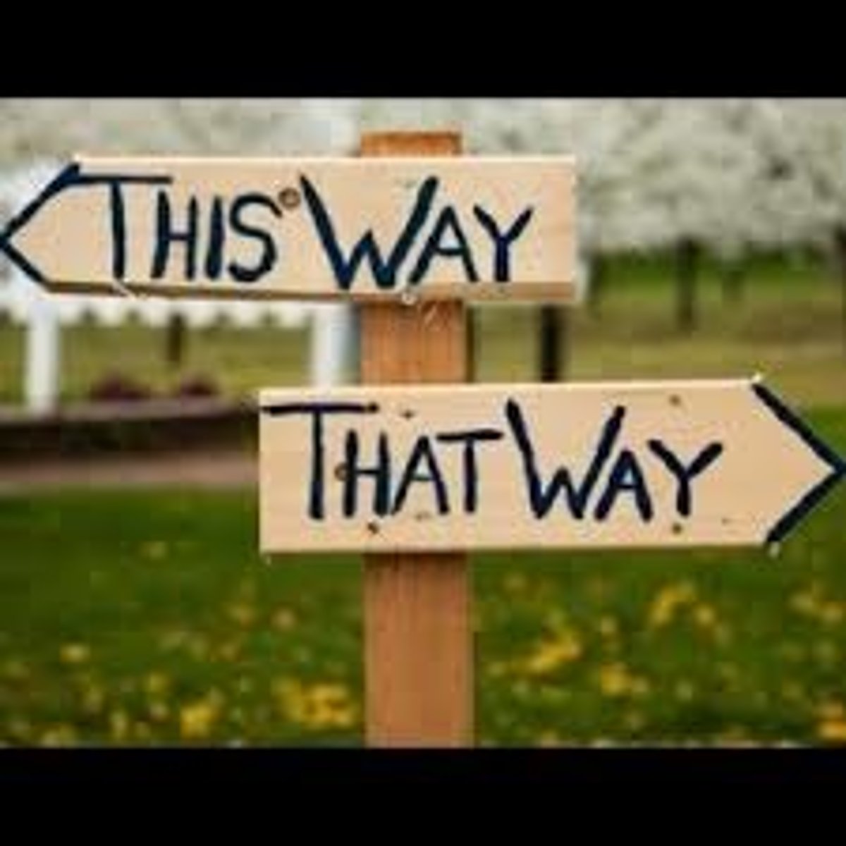 <p>(adj) undecided, weak, not definite and clear</p><p>(không quyết đoán, yếu, không rõ ràng dứt khoát)</p>