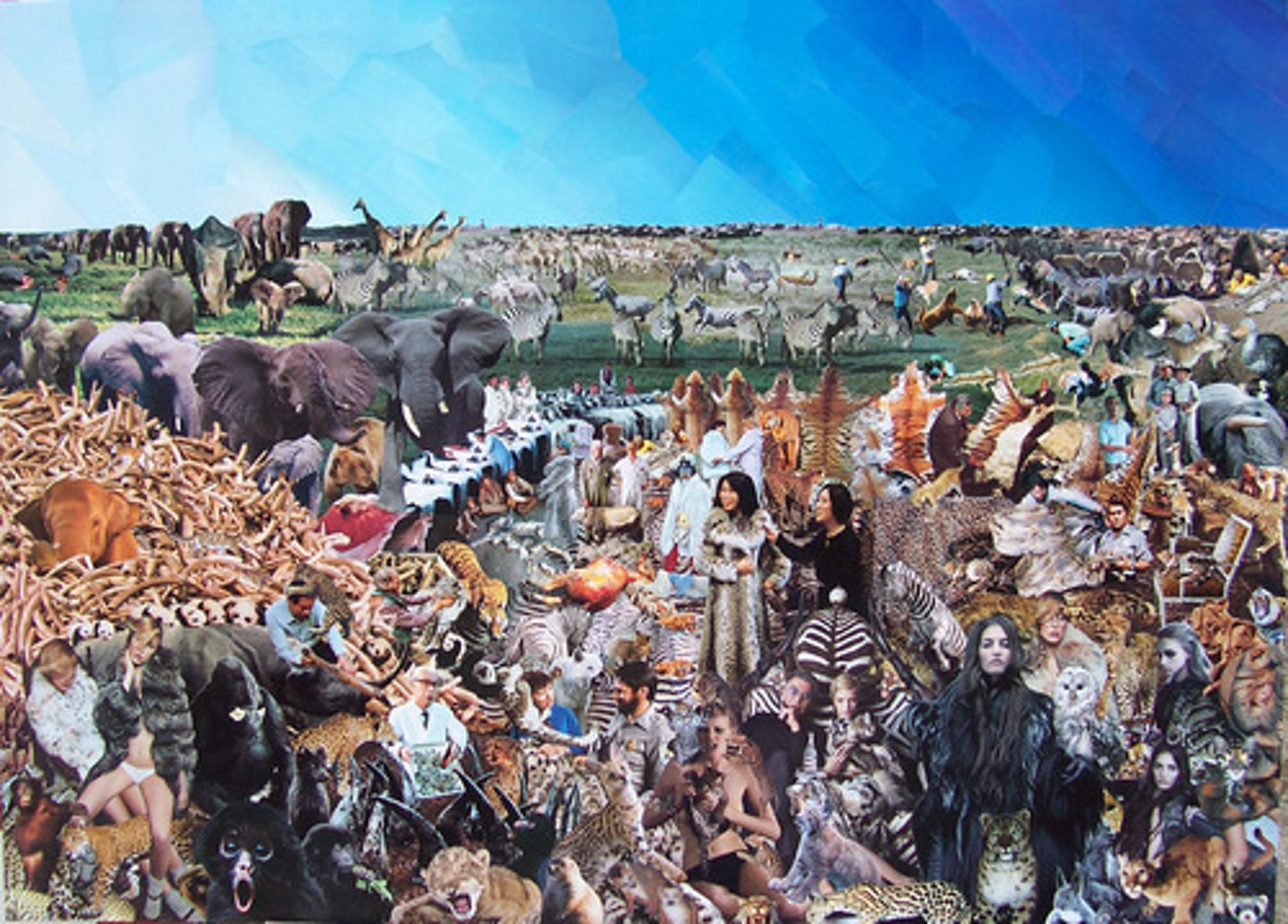 <p>the animals</p>