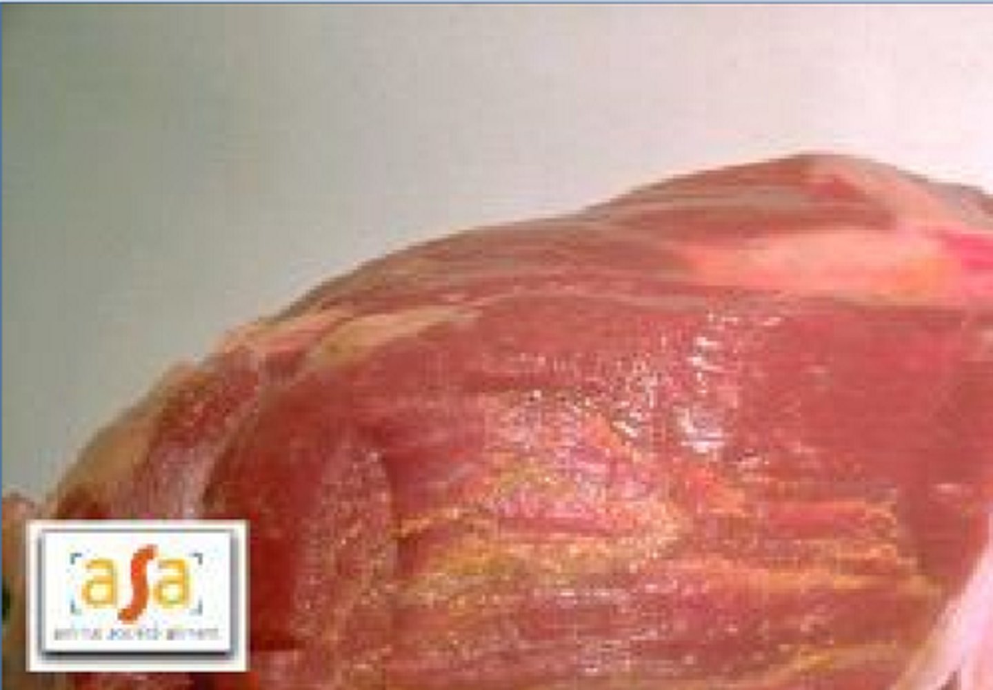 <p>gelokaliseerde zwelling in spier (door trauma)</p><p>rund, varken</p>