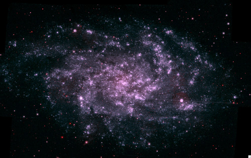 <p>between, among - interstate, internet, interstellar</p>