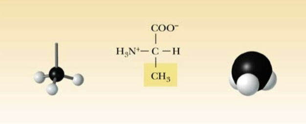 <p>Name:</p><p>Abbreviation:</p><p>Classification:</p>