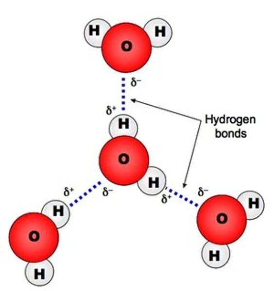 <p>A slightly positive hydrogen atom on one molecule is attracted to a slightly negative O, N, or F atom on another molecule</p>