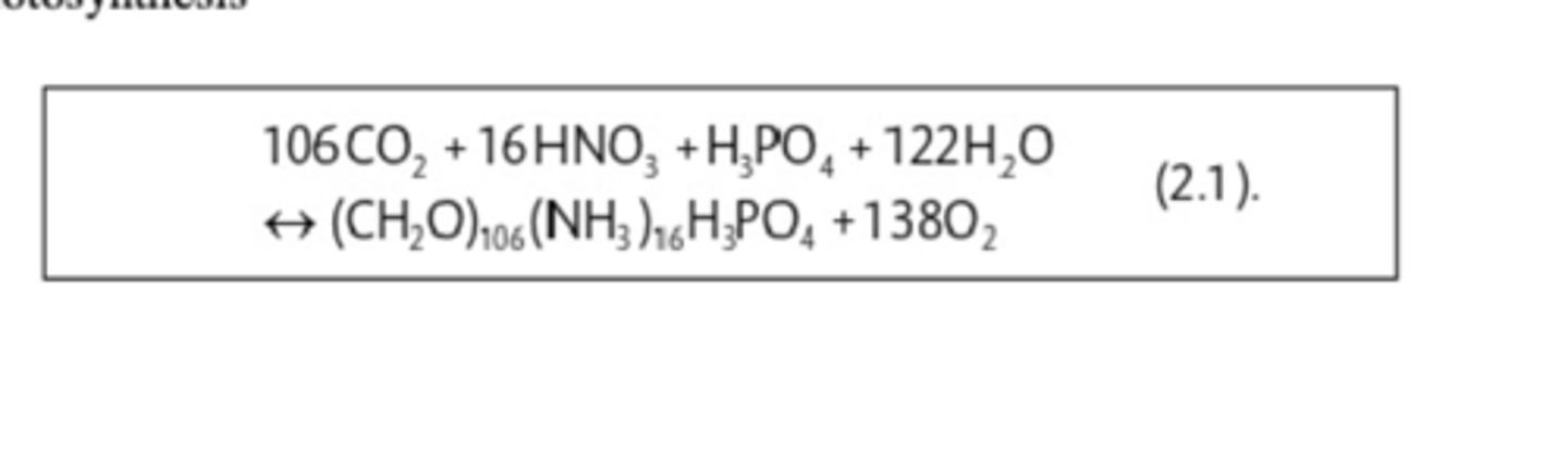 <p>mineralization of organic material back to its inorganic constituents</p>