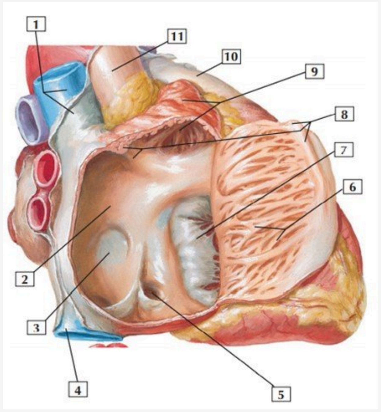 <p>Chi tiết số 3 là gì ?</p>