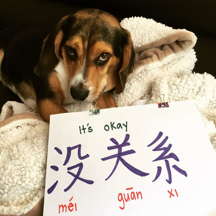 <p>没关系! ( mèi guānxi!)</p>