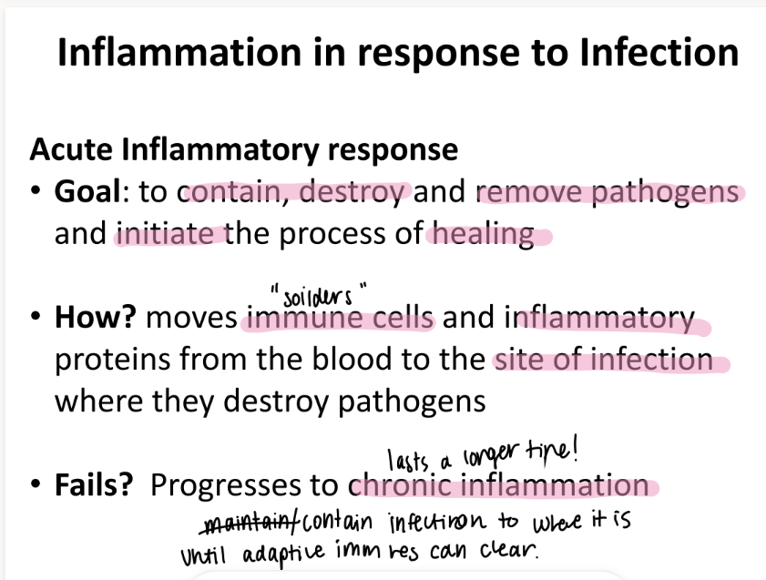 <p>CONTAIN the pathogens, THEN move immune cells + inflammatory proteins to the SITE of infection. </p><p>(CDR: contain, destroy, remove) </p>