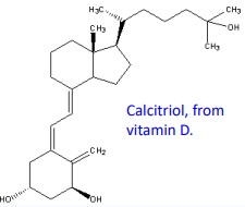 <ul><li><p>VDP “vitamin D binding protein” - target organs</p></li><li><p>pheromone; is not active</p></li><li><p>modified to yield biologically active forms, such as</p></li><li><p>Calcitriol - transcription factor</p></li><li><p>immune system function</p></li></ul>