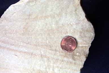 <p>Identify the sedimentary rock</p>