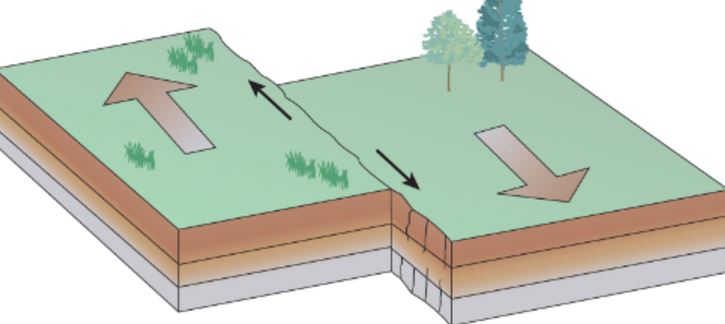 <p><span>What occurs at this type of plate boundary?</span></p>