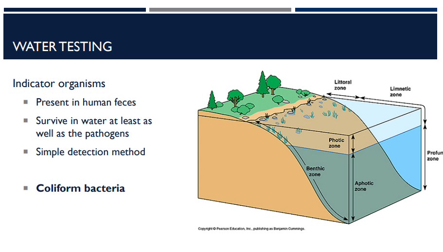 <p>Water testing is used to check for fecal contamination and the possible presence of pathogens. What are indicator organisms? What is an example of one?</p>