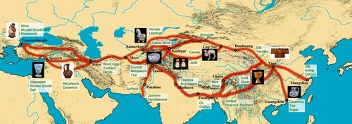 <p>The most famous of the trading routes established by pastoral nomads connecting the Chinese, Indian, Persian, and Mediterranean civilizations; transmitted goods and ideas among civilizations.</p>