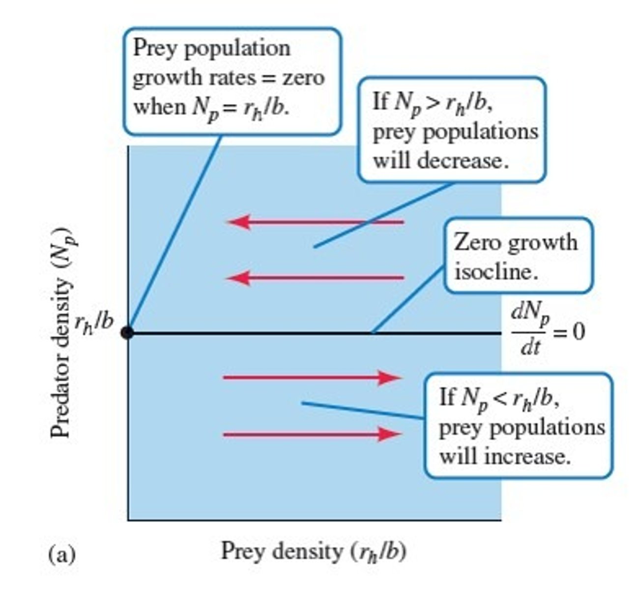 <p>A way to see <strong>how two populations interact over time</strong> — usually in competition/predator-prey.</p>