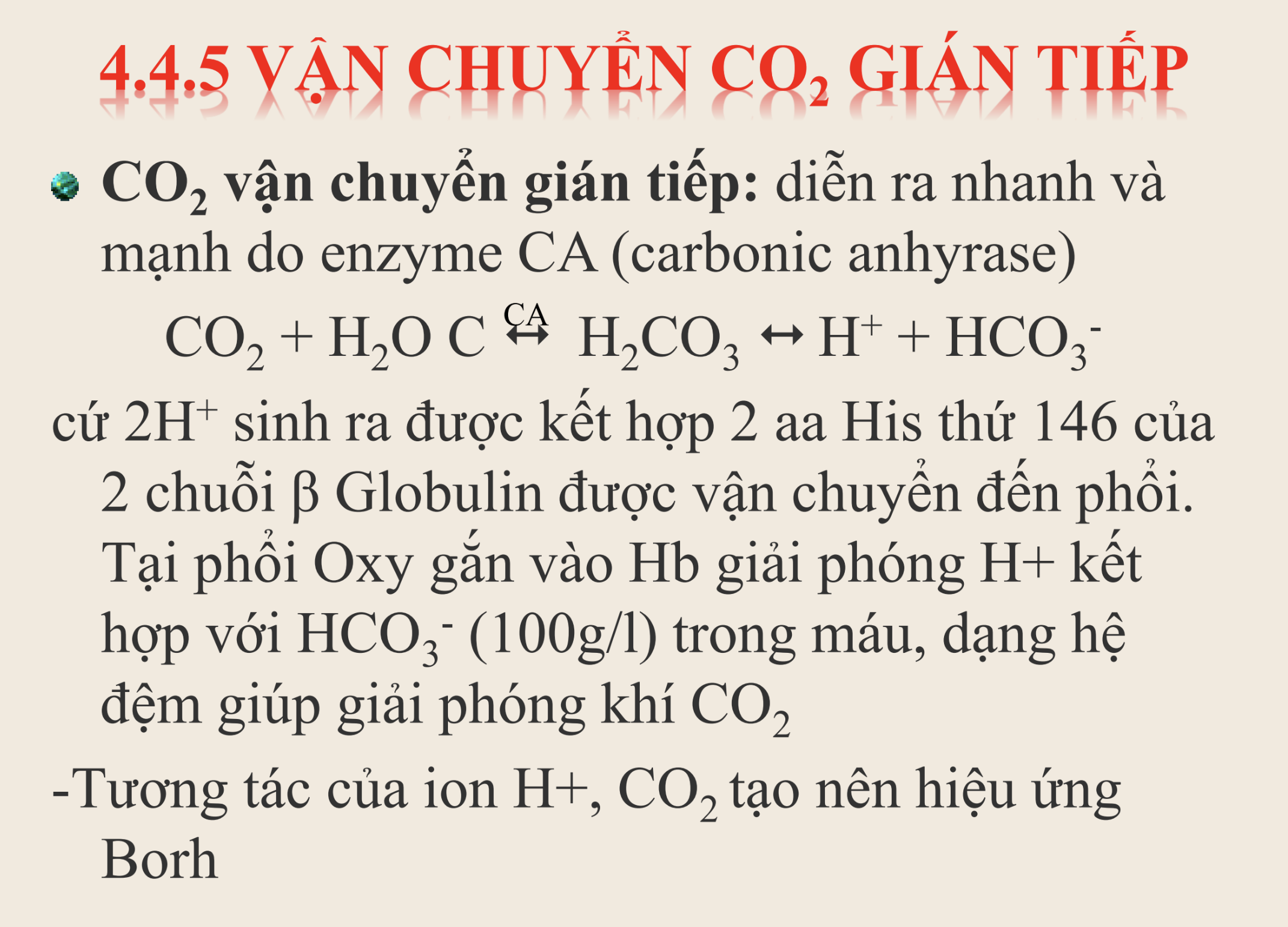 <p><strong>Cơ chế nào sau đây mô tả đúng vai trò của chuỗi β-globin trong điều hòa pH máu và vận chuyển CO₂ về phổi?</strong></p><p>A. CO₂ kết hợp với Fe²⁺ ở hem tạo phản ứng khử sinh ra bicarbonat</p><p>B. Histidine 146 của chuỗi β-globin gắn với H⁺ giúp vận chuyển ion H⁺ đến phổi, nơi H⁺ kết hợp lại với HCO₃⁻ để tạo CO₂</p><p>C. H⁺ từ phân ly H₂CO₃ bị Hb loại bỏ để tăng ái lực gắn CO₂</p><p>D. O₂ giải phóng H⁺ từ Hb ở mô giúp duy trì gradient khuếch tán CO₂</p>
