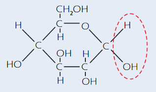 <p>(alpha - H is <u>on top</u>)</p>