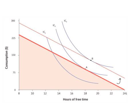 <p>Your total earnings increase, holding working hours fixed</p>