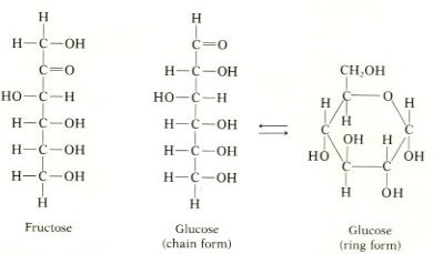 <p>Basic structural formula = (CH2O)N<br>Example: Glucose = C6H12O6 = (CH2O)6</p>