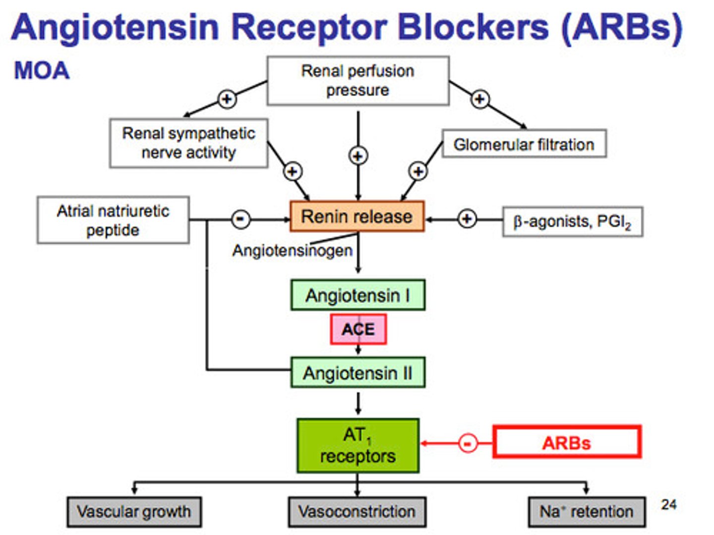 <p>Block angiotensin II receptors leading to vasodilation (opening blood vessels).;</p>