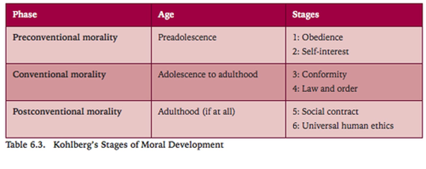 <p>A theory which states that morality progress through a series of stages. The sense of right or wrong is entwined with the person' progression to the stages. Delinquent behavior is a result of immaturity in moral development.</p>