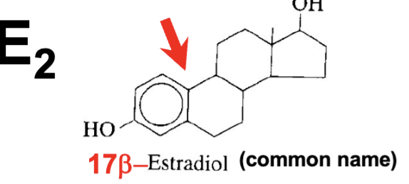 <p>only have OH on 17th carbon</p>