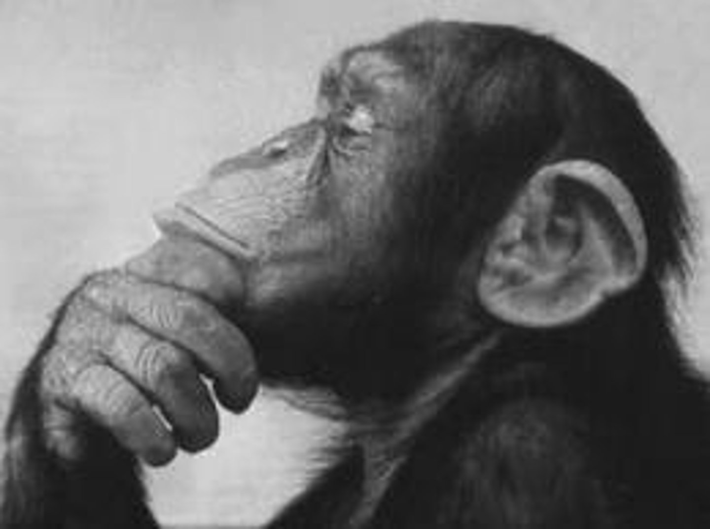 <p>có lẽ</p><p>He's from France, so .............. he speaks French.</p>