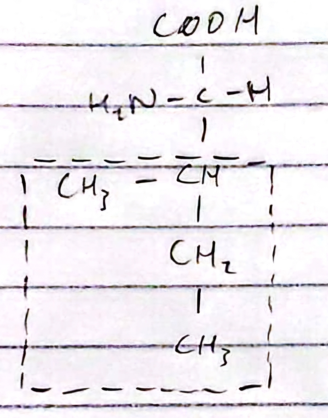 knowt flashcard image