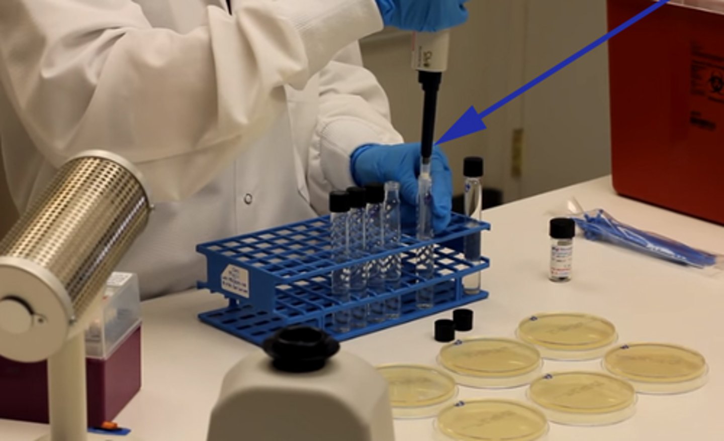 <p>pipette</p>