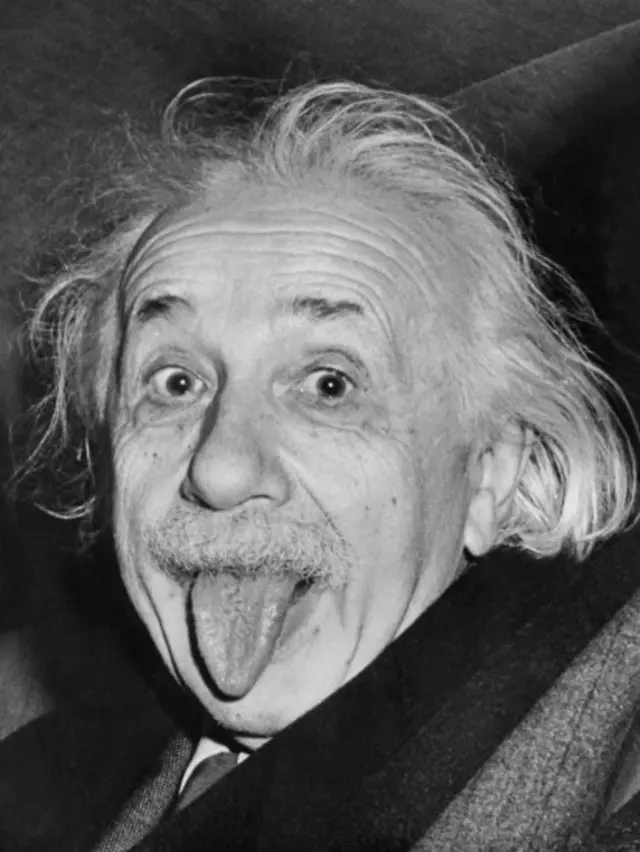 <p>Is Einstein a police officer?</p>