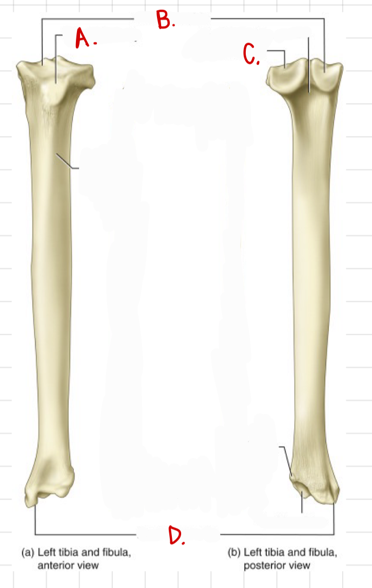 <p>d</p>