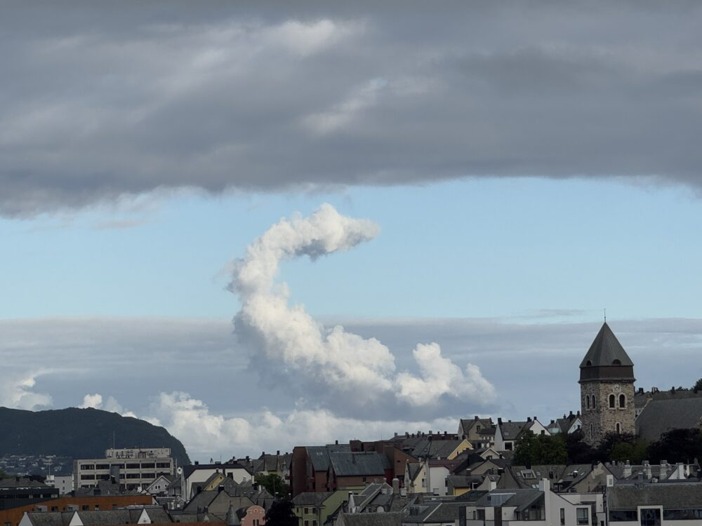 <p>like a cauliflower </p>