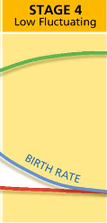 <p>low fluctuating</p><p>both birth and death rates low</p><p>economy is developed</p><p>population increases slowly</p><p>e.g. Ireland</p>