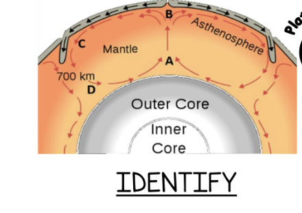 <p>Identify the heat current illustrated above.</p>