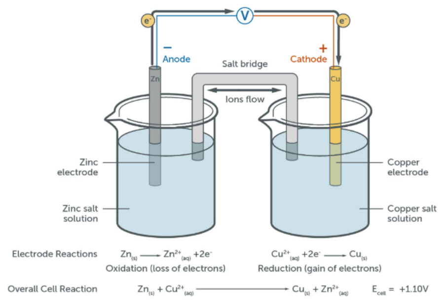 <ul><li><p>solid metal or platinum electrode (Pt is inert so doesn’t create a potential difference, and is a conductor so allows the transfer of electrons)</p></li><li><p>salt bridge to provide an electrical connection from ions that are free to move and carry charge- usually KNO<sub>3</sub> (unreactive as if a reaction occurs, there will be a change in the concentration, affecting the E<sub>cell</sub>)</p></li><li><p>high-resistance voltmeter: doesn’t allow current to flow so allows emf to be measured</p></li><li><p>wire/ammeter: allows current to flow; E<sub>cell</sub> eventually falls to 0.00 as the reactants are used up and the cell goes to equilibrium</p></li></ul><p></p>