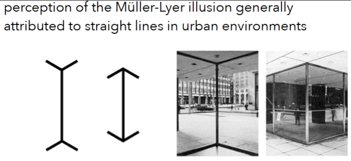 <ol><li><p>sickle cell anaemia - developed as a resistance to malaria</p></li><li><p>the carpentered niche - humans living in a world of corners has lead us to develop an illusion where different lines represent inwards or outwards facing corners</p></li></ol><p></p>