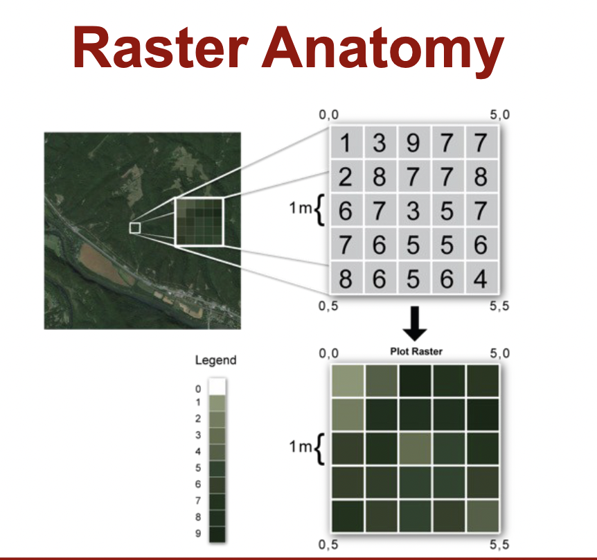 <p>Location is defined by place in the array </p><p>Entire array has to be placed on geographic coordinates </p><p>Each grid has one values, even if it’s “missing” </p><p>A cell has a resolution, given the cell size in ground units </p>